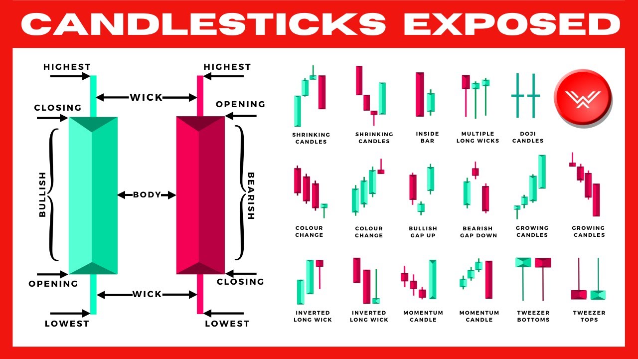 Learn How to Read Forex Candlestick Charts Like a Pro